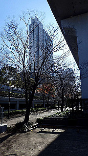 pc203268_thumb.jpg