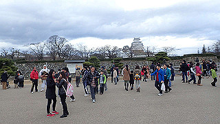 pc273345_thumb.jpg