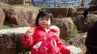 p1043301_thumb.jpg