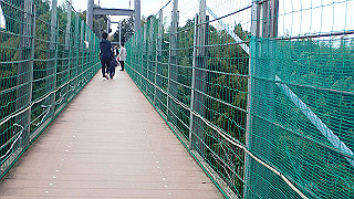 p1043328_thumb.jpg