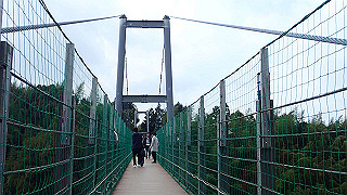 p1043329_thumb.jpg