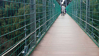 p1043333_thumb.jpg