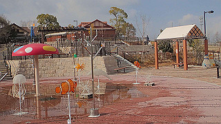p1043338_thumb.jpg