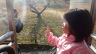 p1043352_thumb.jpg