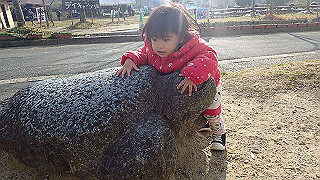 p1043362_thumb.jpg