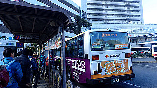 p1223401_thumb.jpg