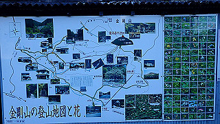 p1223404_thumb.jpg