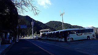 p1223406_thumb.jpg