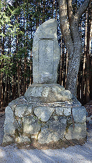 p1223416_thumb.jpg