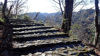 p1223417_thumb.jpg