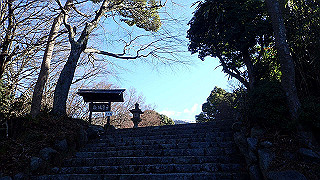 p1223418_thumb.jpg