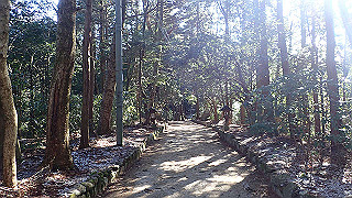 p1223424_thumb.jpg