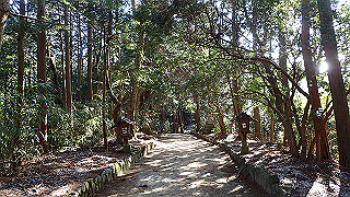 p1223425_thumb.jpg