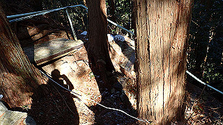 p1223426_thumb.jpg