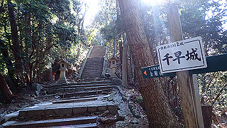 p1223427_thumb.jpg