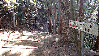 p1223433_thumb.jpg