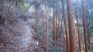 p1223434_thumb.jpg