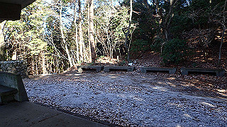 p1223436_thumb.jpg
