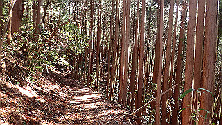 p1223437_thumb.jpg