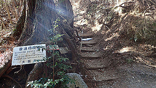p1223438_thumb.jpg