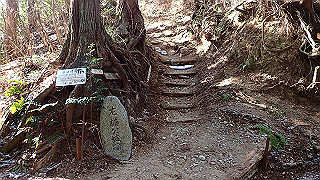 p1223439_thumb.jpg