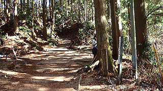 p1223441_thumb.jpg
