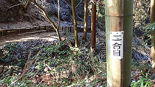 p1223442_thumb.jpg