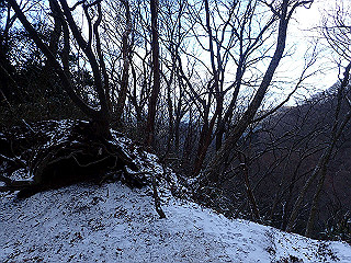 p1223447_thumb.jpg