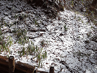 p1223452_thumb.jpg