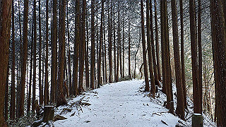 p1223458_thumb.jpg