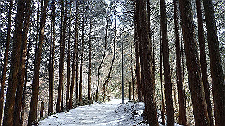 p1223460_thumb.jpg