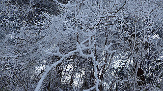 p1223463_thumb.jpg