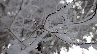 p1223464_thumb.jpg