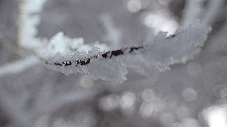 p1223465_thumb.jpg