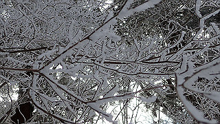 p1223467_thumb.jpg