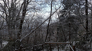 p1223468_thumb.jpg