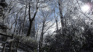 p1223471_thumb.jpg