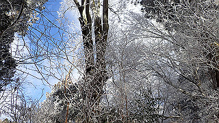 p1223472_thumb.jpg