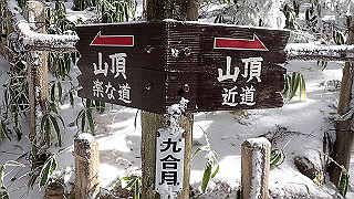 p1223473_thumb.jpg