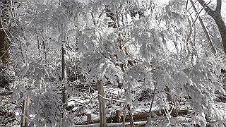 p1223476_thumb.jpg