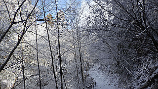 p1223479_thumb.jpg