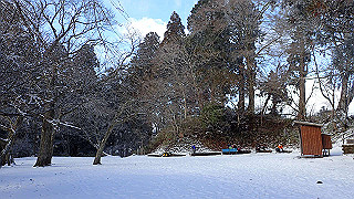 p1223483_thumb.jpg