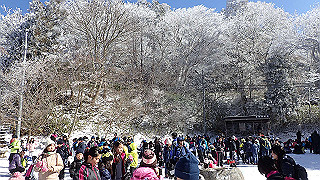 p1223487_thumb.jpg