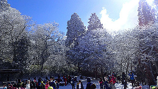 p1223488_thumb.jpg