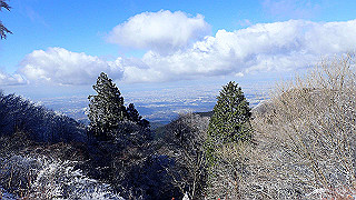p1223490_thumb.jpg
