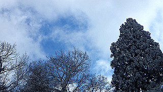 p1223495_thumb.jpg