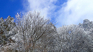 p1223501_thumb.jpg