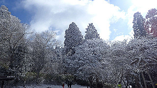 p1223503_thumb.jpg