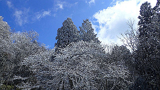 p1223509_thumb.jpg