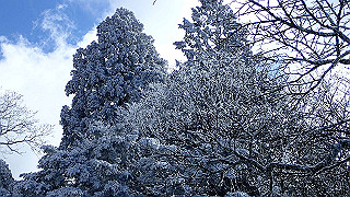 p1223514_thumb.jpg